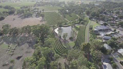 Winery Drone Shot Vineyard McLaren Vale