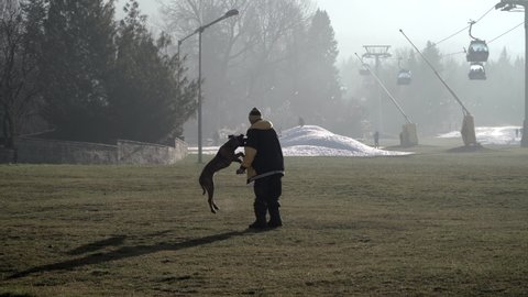 Bansko, Bulgaria 12 Jan, 2020: Cheerful man playing with his dog throwing a stick