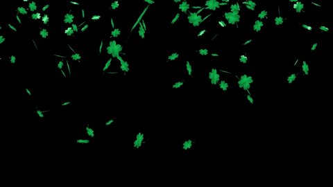 Four Leaves Clover. Falling clover leaves with black background that can be used as overlay or background or clip.