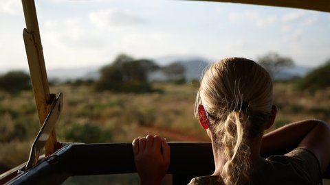 Africa Safari wildlife view Blonde lady Woman girl from a car jeep drive on a safari adventure trip in Masai Mara park Kenya savana tsavo west tanzania