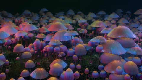 Psychedelic magic mushrooms dancing in the forest. Colorful trippy psilocybin mushroom wave. Vj Loop