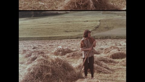 1960s: Peasant farmer stands in field and uses pitchfork to pitch hay. Two male and one female farmer in hayfield, pitching hay.
