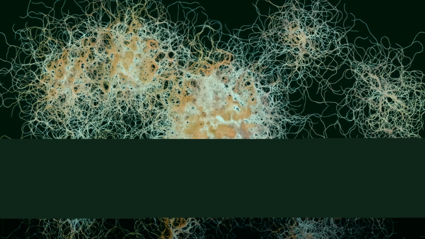 Mold background. Macro shot of mold. Mold spores. A mold or mould is a fungus that grows in the form of multicellular filaments. Aspergillus. Accelerated macro photography.