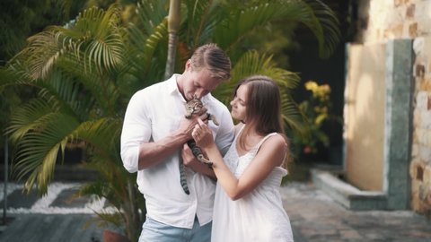 Young Caucasian couple holds little kitten in hands and hugs in slow motion. Beautiful man and woman play with cute tabby kitten and hug. Romantic couple, animal lovers. High quality FullHD footage