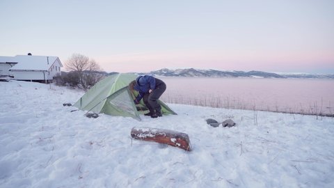 Man Putting Rope Leash On Alaskan Malamute During Their Camping Trip. - static