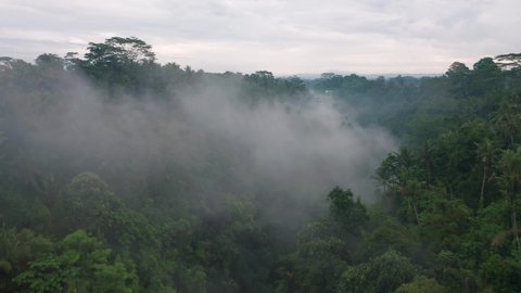 Rising from tropical jungle valley with fog revealing Bali rural town, overcast day