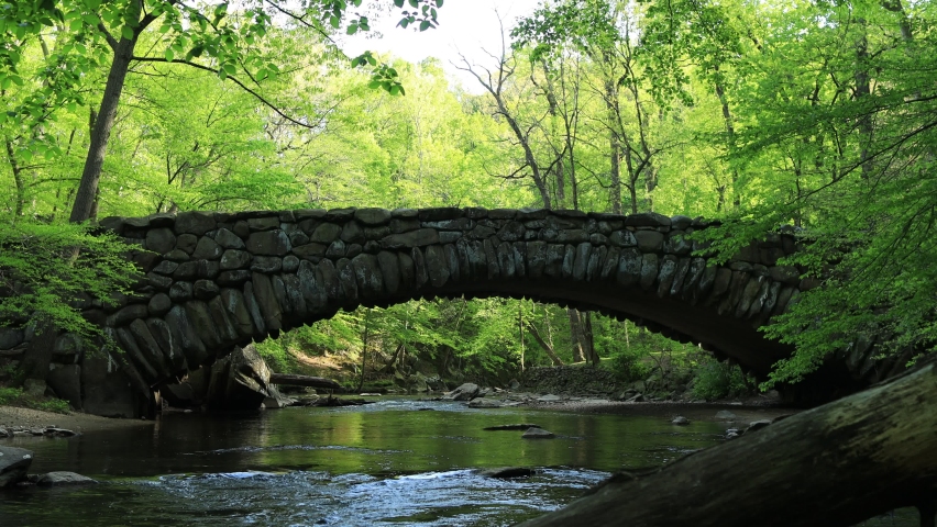 A static shot of cyclists and runners crossing Boulder Bridge in Rock Creek Park on a beautiful spring day in Washington, D.C. The trees have green leaves.