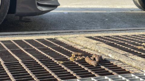 dog poop on dirty subway grating in street on sidewalk outside in city