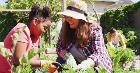 Happy caucasian lesbian couple and their african american daughter gardening together. domestic life, spending time at home.