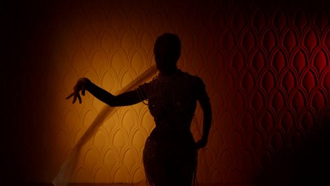 dark silhouette of exotic belly dancer dancing in night in royal harem in palace