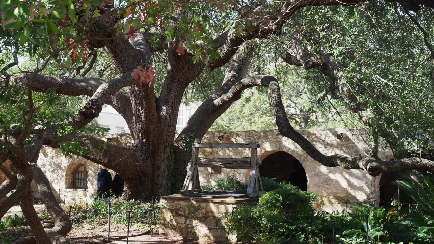 Sunny view of The Alamo at Texas