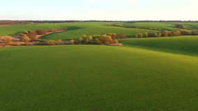 Splendid footage of a green undulating field of agricultural, bird's eye view. Agronomic industry. Agrarian region of Ukraine, Europe. Cinematic drone shot. Beauty of earth. Filmed in UHD 4k video.
