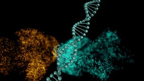 Digital animation of dna structure spinning against digital wave on black background. medical research and science technology concept - Powered by Shutterstock - Get 15% off with code: PIKWIZARD15
