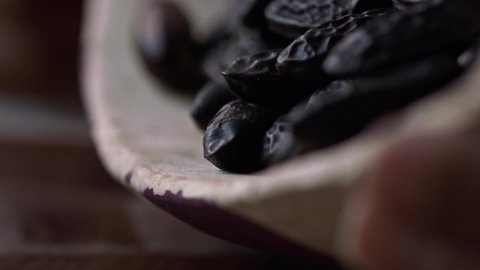 Dumping out a bowl full of black cumaru seeds also called tonka beans - close up slow motion