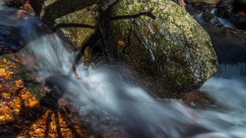 Water Moving Fast Alongside Rocks in a River with Fall Color