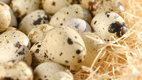 Close-up of quail eggs a rotating . Bright colorful quail eggs. Macro. Selective focus