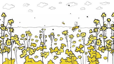 Rape field. The bees are flying. Black and yellow color. Agriculture. Ecology. Nature. Animated illustration. Line graphics. White background.
