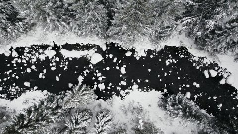 Aerial Drone Footage of Black River Surrounded By Snow Covered Pine Trees in Rocky Mountains Near Vail Colorado USA.