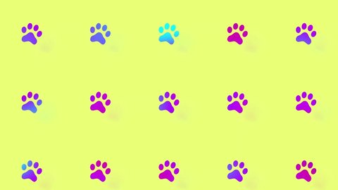 Colorful pattern of cat paws. Seamless pattern with cat paw. Top view. Animal silhouette. 4K video motion