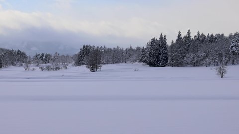 Snowfield landscape in the morning in winter