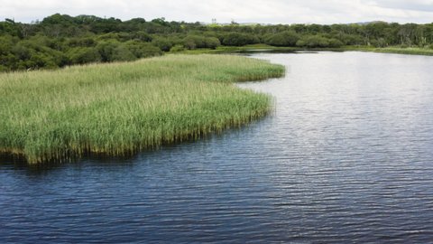 AERIAL - Marshland around Killarney National Park and Muckross Lake, Ireland