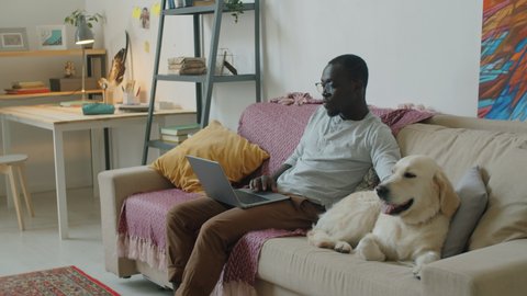 Young black man sitting on sofa at home, working on laptop and petting cute golden retriever dog