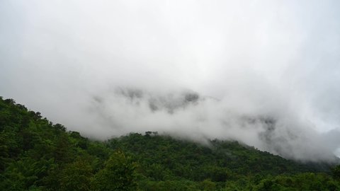 Fasting fog to the left covering a rainforest in Sai Yok, Kanchanaburi, Thailand.