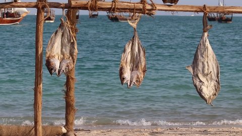 Arabic Stockfish preserved by drying under sunlight and shore winds. It is one of the arabic delicacy.