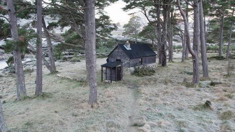 Aerial drone footage flying backwards through Scots pine trees (Pinus sylvestris) and heather moorland to reveal a remote Bothy (Bob Scott's). Glen Derry, Cairngorms National Park, Scottish Highlands