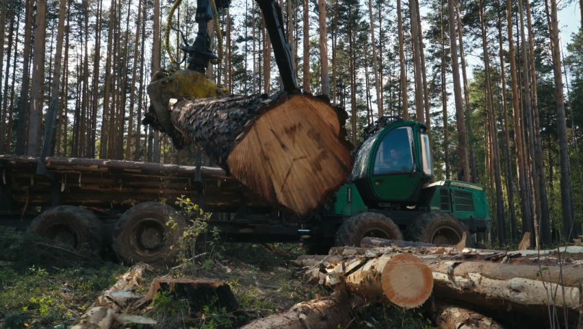 A Big Storage Truck is used for the Deforestation process. The deforestation process occurs because of the cutting of wood for fuel. The deforestation process causes environmental problems. | Shutterstock HD Video #1086772316