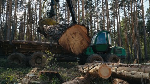 A Big Storage Truck is used for the Deforestation process. The deforestation process occurs because of the cutting of wood for fuel. The deforestation process causes environmental problems.