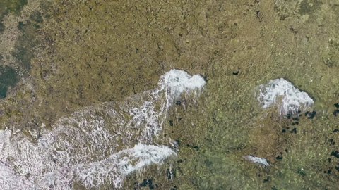Aerial drone footage of breaking waves falling with white foam water on shallow reef colours green and blue with beautiful natural texture flying towards white sand beach in tropical paradise.
