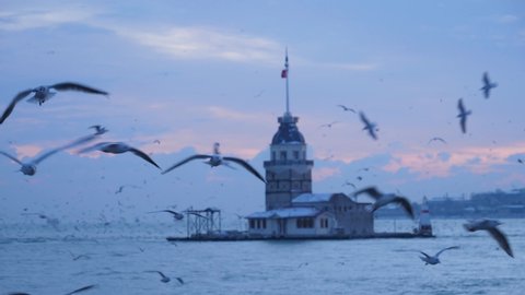 Snowy winter landscape of Maiden's Tower, one of the important historical and touristic symbols of Istanbul, at sunset and seagulls flying in slow motion.