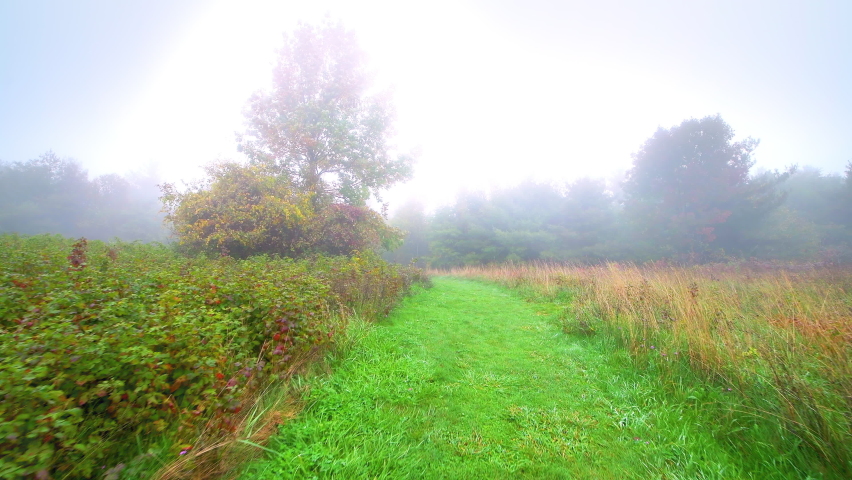 Handheld point of view walking on Big Spy Mountain overlook trail with cloudy mist fog weather in Blue Ridge Parkway, Virginia national park fall foliage and green grass