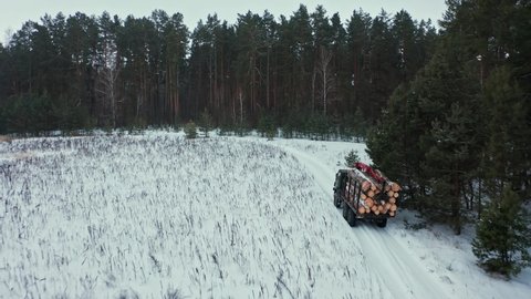Logging truck transports felled trees - aerial view. Environmental and climatic problems from deforestation. Truck is moving in the forest with felled logs, in winter. 