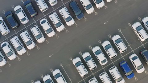 Aerial top down view of a dealership cars export or customs terminal in export and import business and logistics with a rows of new vehicles