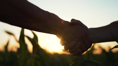 Agriculture. Farmers handshake in corn farm. Dialogue between two businessmen to sign contract. Handshake to conclude contract.Farmers on corn plantation.Agricultural business concept.Hands silhouette