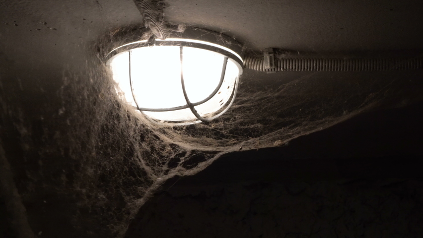 A large spider web hangs from the ceiling of a bright lamp in a dark basement and sways in the wind. The concept of fear and horror. Close-up. 4K.