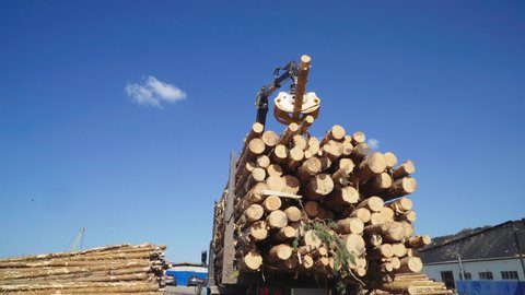Timber Material Picked Up From Transport Vehicle Cargo By Industrial Crane. Timber Material For Lumber Production In Transport Machine Cargo. Cargo Transport Brings Timber Material To Wood Workshop
