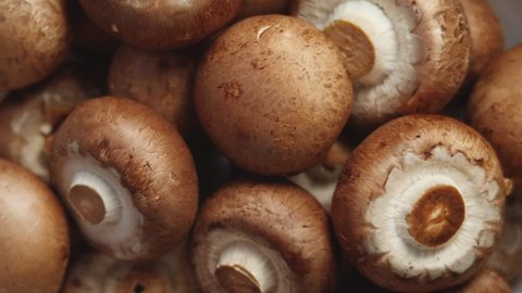 Top View Of Uncooked Fresh Raw Royal Champignon Mushrooms Rotating Close Up. Appetizing Brown Mushrooms Ready For Eating. Bowl with Edible Vegetables Cultivated Conception