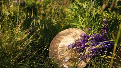 straw hat with a satin ribbon lies next to a bouquet of purple lupines on fresh green grass on a sunny day in a meadow. Selected focus and blurred background