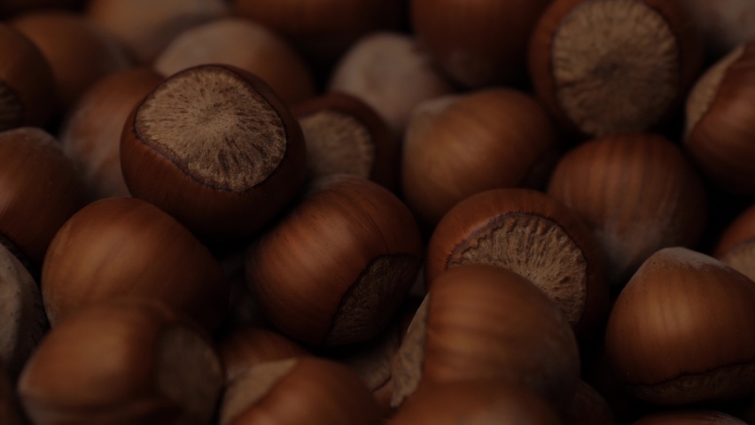 Hazelnuts. Macro shot of beam of sunlight passes over hazelnuts in shadow Royalty-Free Stock Footage #1086837725