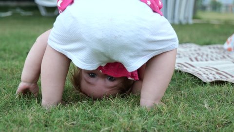 Adorable 1 year baby standing upside down on green grass. Small girl having fun in summer park. 