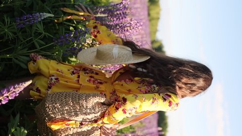 beautiful brunette woman in a yellow dress with a bouquet of lupines in a wicker basket and a straw hat walks in a field of lupines and smiles for the camera. Beautiful sun flares. Vertical video