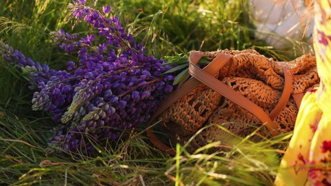 A woman in a yellow dress picks up a crocheted basket bag with purple lupine bouquet flowers in her hands. The concept of enjoying the blooming season.