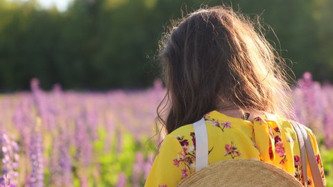 beautiful brunette woman in a yellow dress with a bouquet of lupines in a wicker basket and a straw hat walks in a field of lupines and smiles for the camera. Beautiful sun flares.