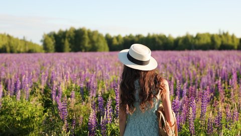 Portrait of an attractive brunette woman with white lupine flowers. Positive emotions and enjoyment of nature. Inhaling the fragrance of flowers. Looking into the camera.