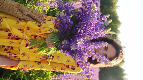 beautiful brunette woman in a yellow dress waves a bouquet of lupines in front of the camera and walks off into a field of lupines. Beautiful highlights and glare from the sun. Vertical video