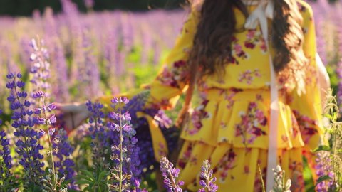 beautiful brunette woman in a yellow dress with a bouquet of lupines in a wicker basket and a straw hat walks in a field of lupines and smiles for the camera. Beautiful flare from the sun