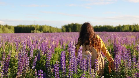 beautiful brunette woman in a yellow dress with a bouquet of lupines in a wicker basket and a straw hat runs in a field of lupines and smiles for the camera. Sincere emotion and joy